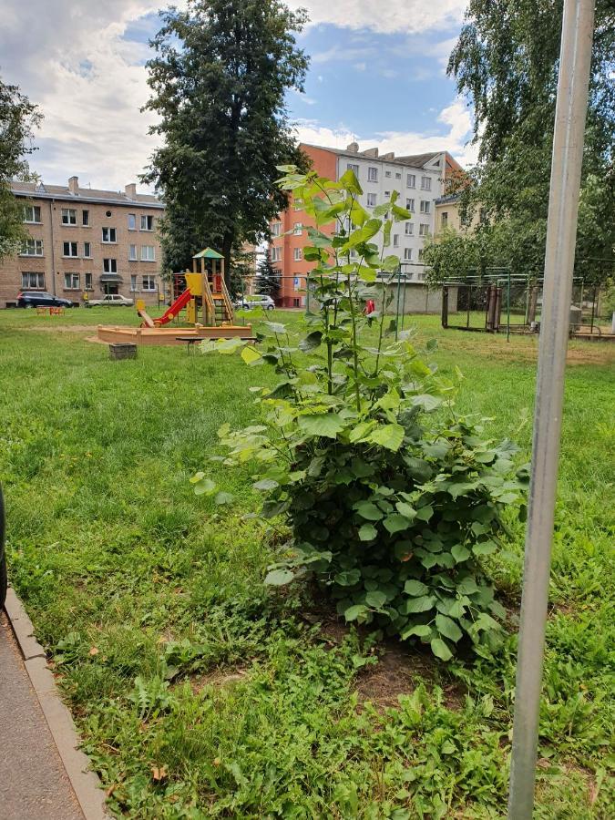 Apartament Erfolg 6 Daugavpils Kültér fotó